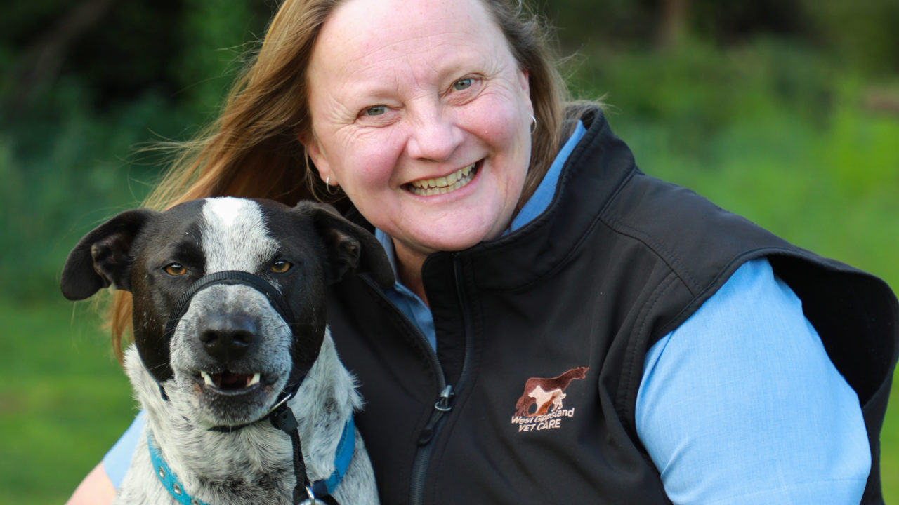 Meet the Team | West Gippsland Vet Care