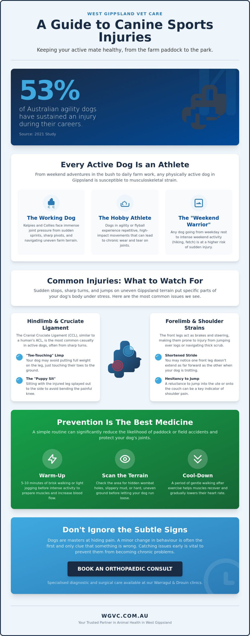 Canine Sports Injuries: A Guide for Gippsland’s Active Dogs