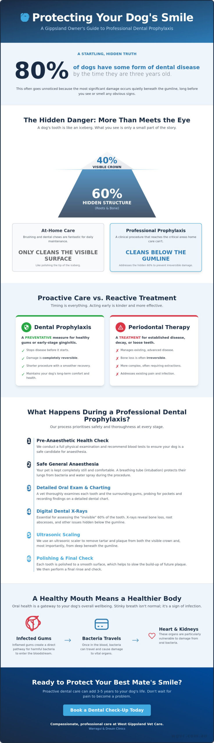 Dental Prophylaxis for Dogs: The Complete Step-by-Step Guide for Gippsland Owners