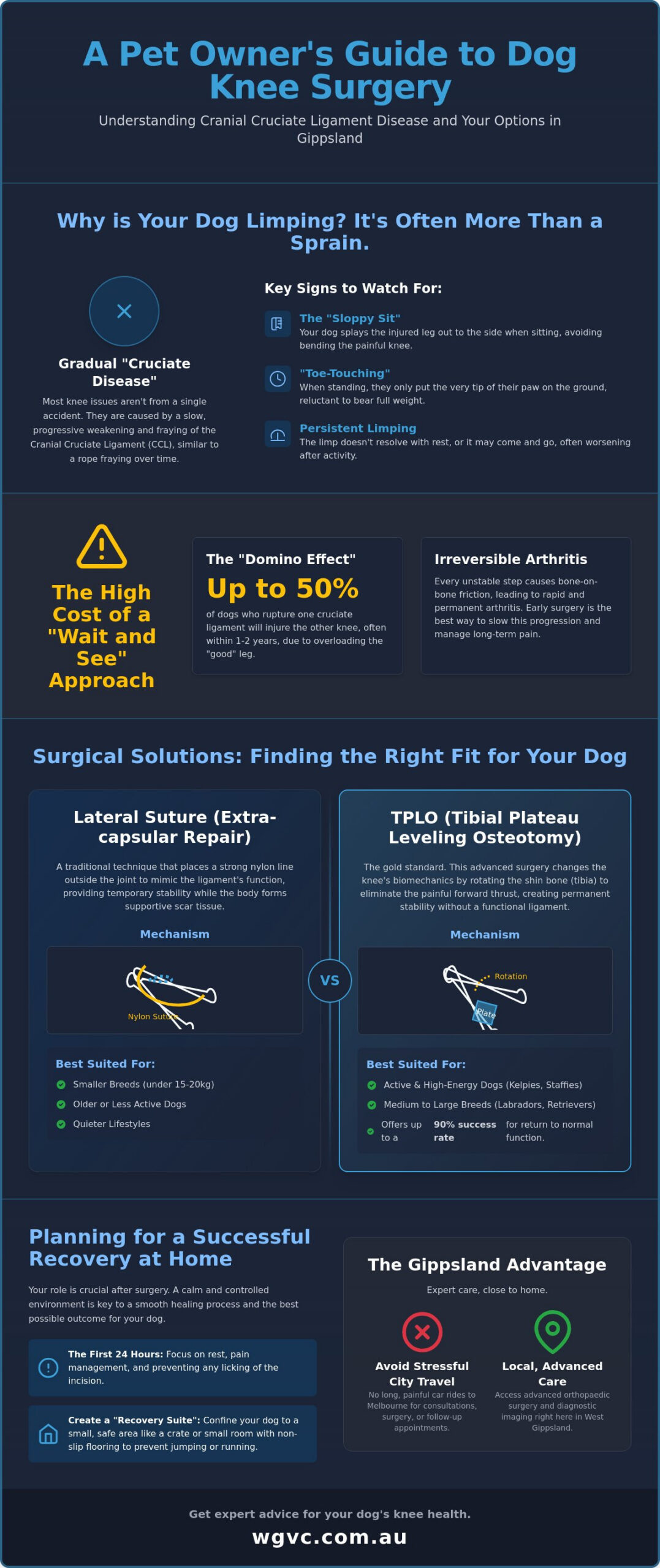 Dog Knee Surgery in Gippsland: A Complete Guide to Cruciate Ligament Care