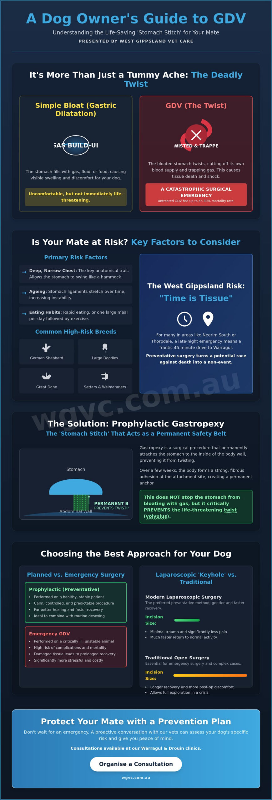 Gastropexy Surgery for Dogs: Busting Common Myths About Bloat Prevention