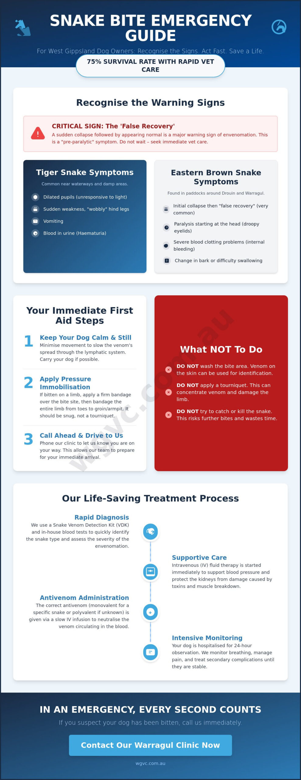 Snake Bite Treatment for Dogs in Gippsland: Your Emergency Guide