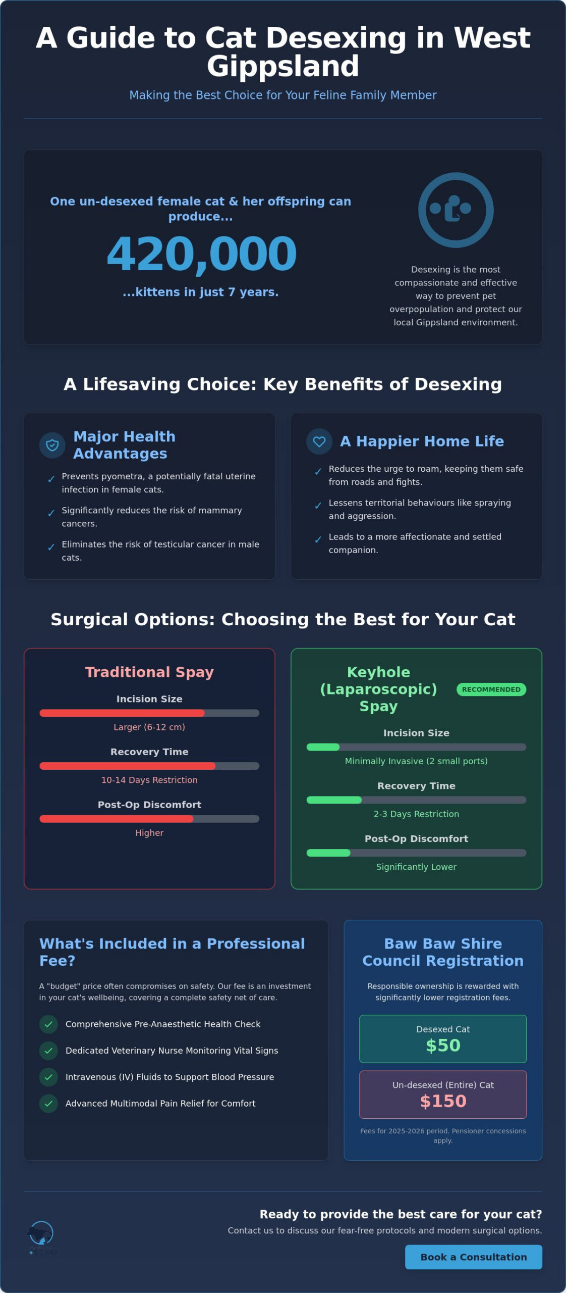Cat Desexing Drouin Cost: 2026 Pricing and Procedure Guide