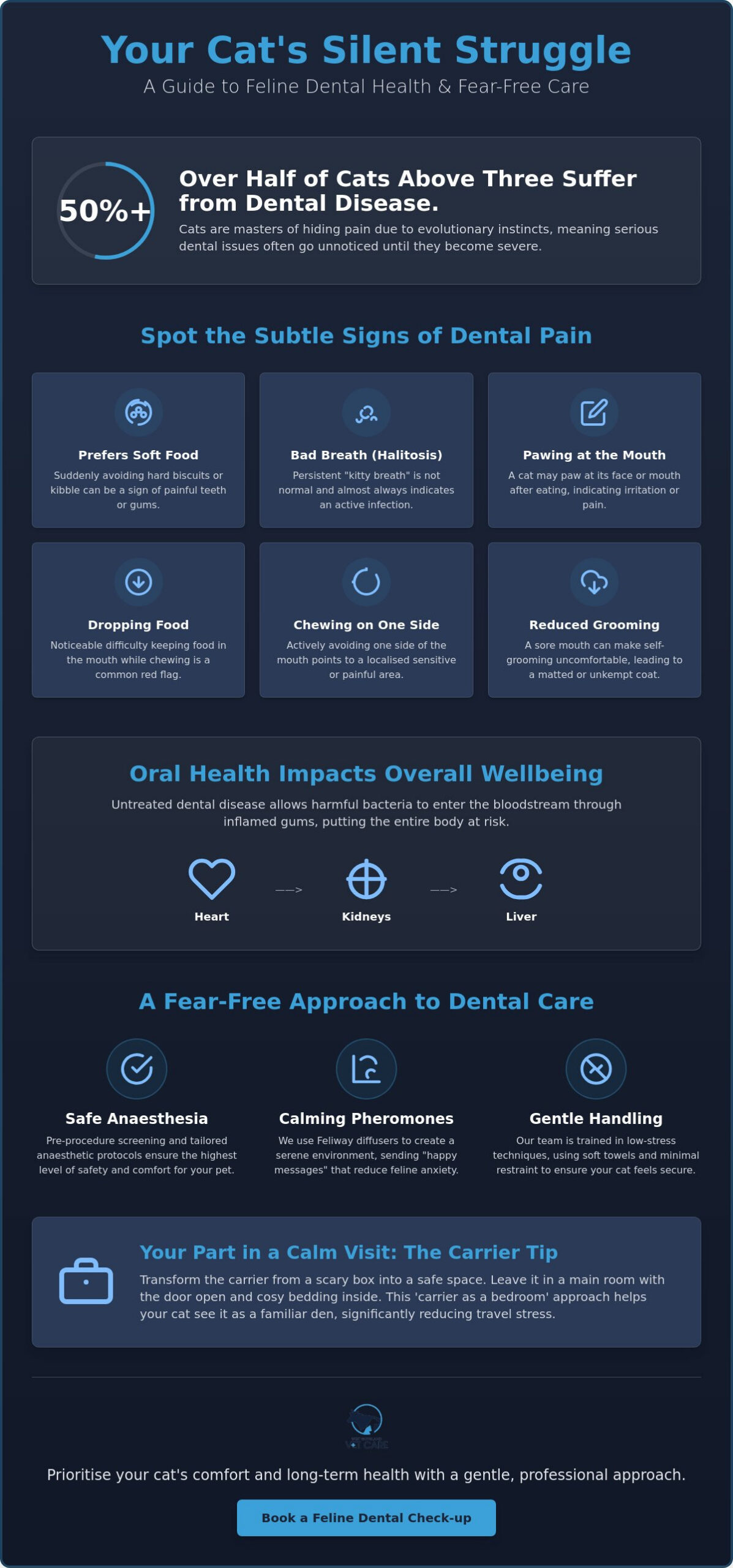 Low-Stress Cat Dental Cleaning in Warragul: A Gentle Guide for Feline Owners