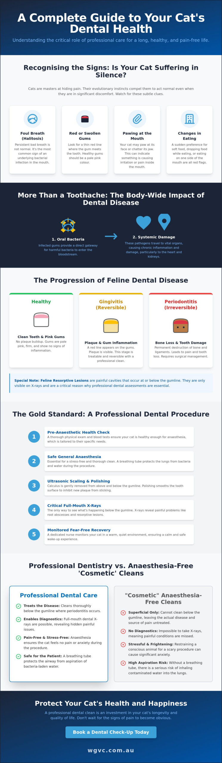 Cat Dental Cleaning in Gippsland: The Complete Guide to Feline Oral Health