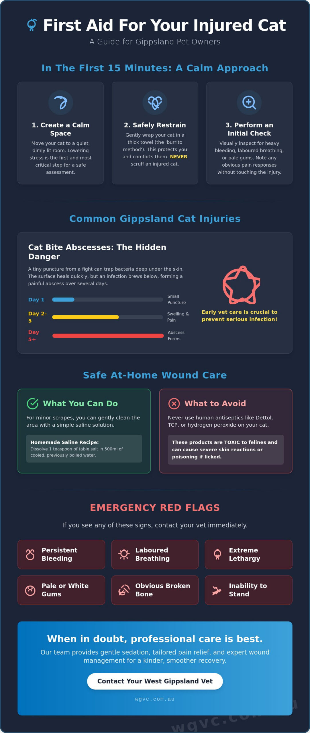 Cat Injury Treatment: A First Aid Guide for West Gippsland Pet Owners