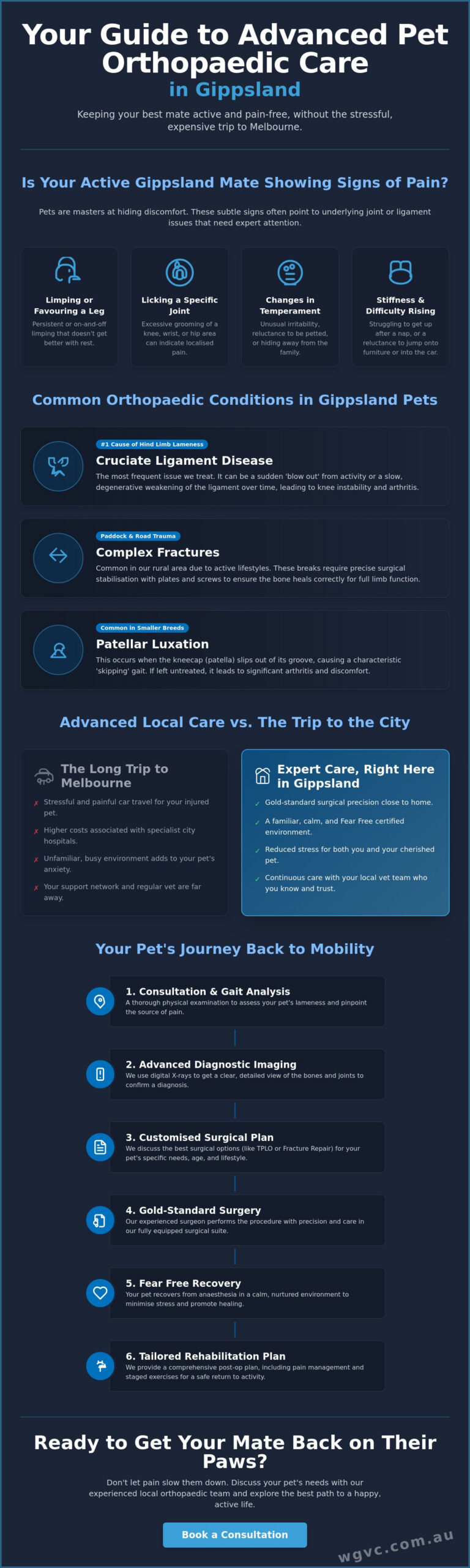 Orthopaedic Vet Gippsland: Advanced Surgical Care for Your Best Mate