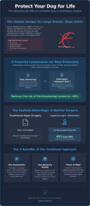 Benefits of Combining Spay and Gastropexy Surgery: A Gentle Guide for Large Breed Owners