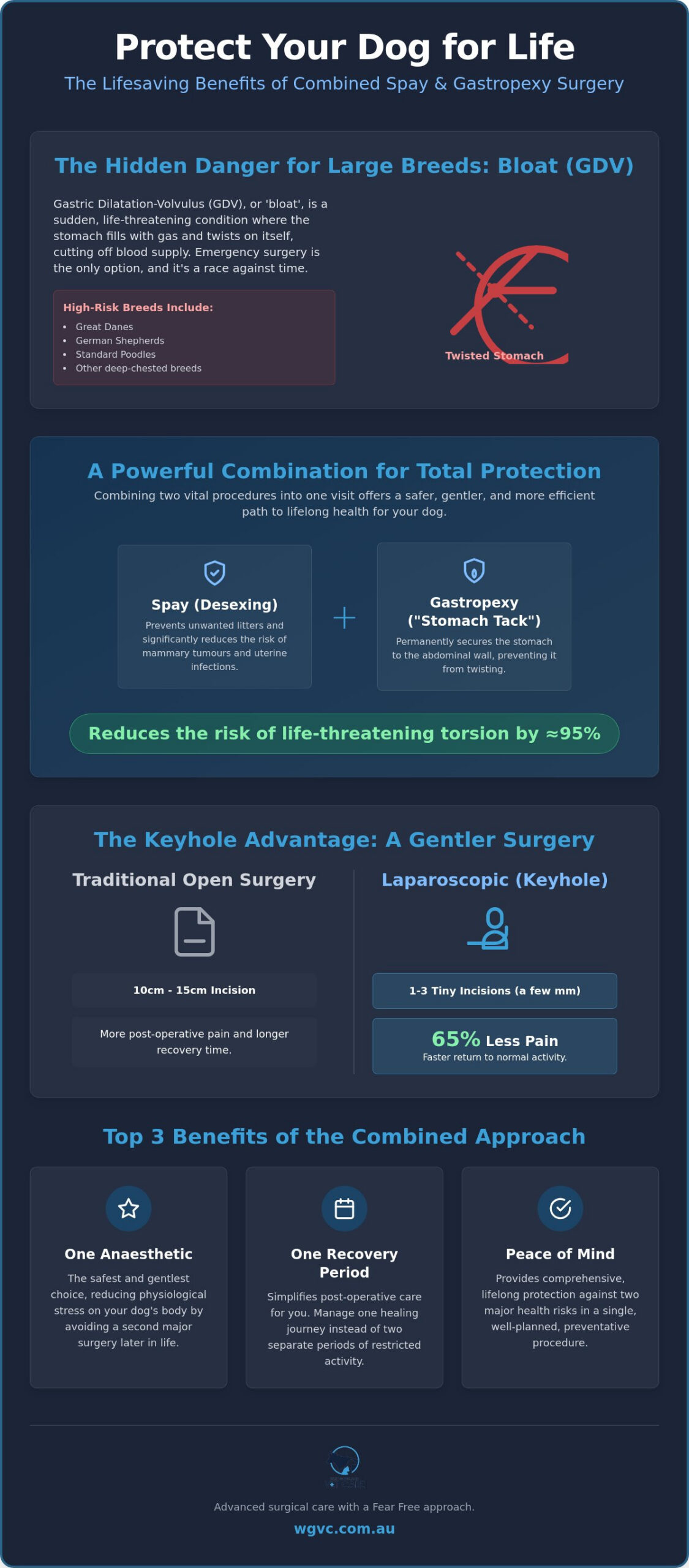 Benefits of Combining Spay and Gastropexy Surgery: A Gentle Guide for Large Breed Owners