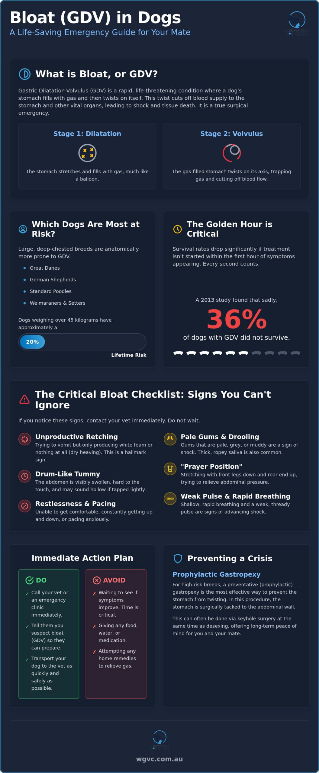 Emergency Checklist: What to Do if You Suspect Bloat (GDV) in Your Dog