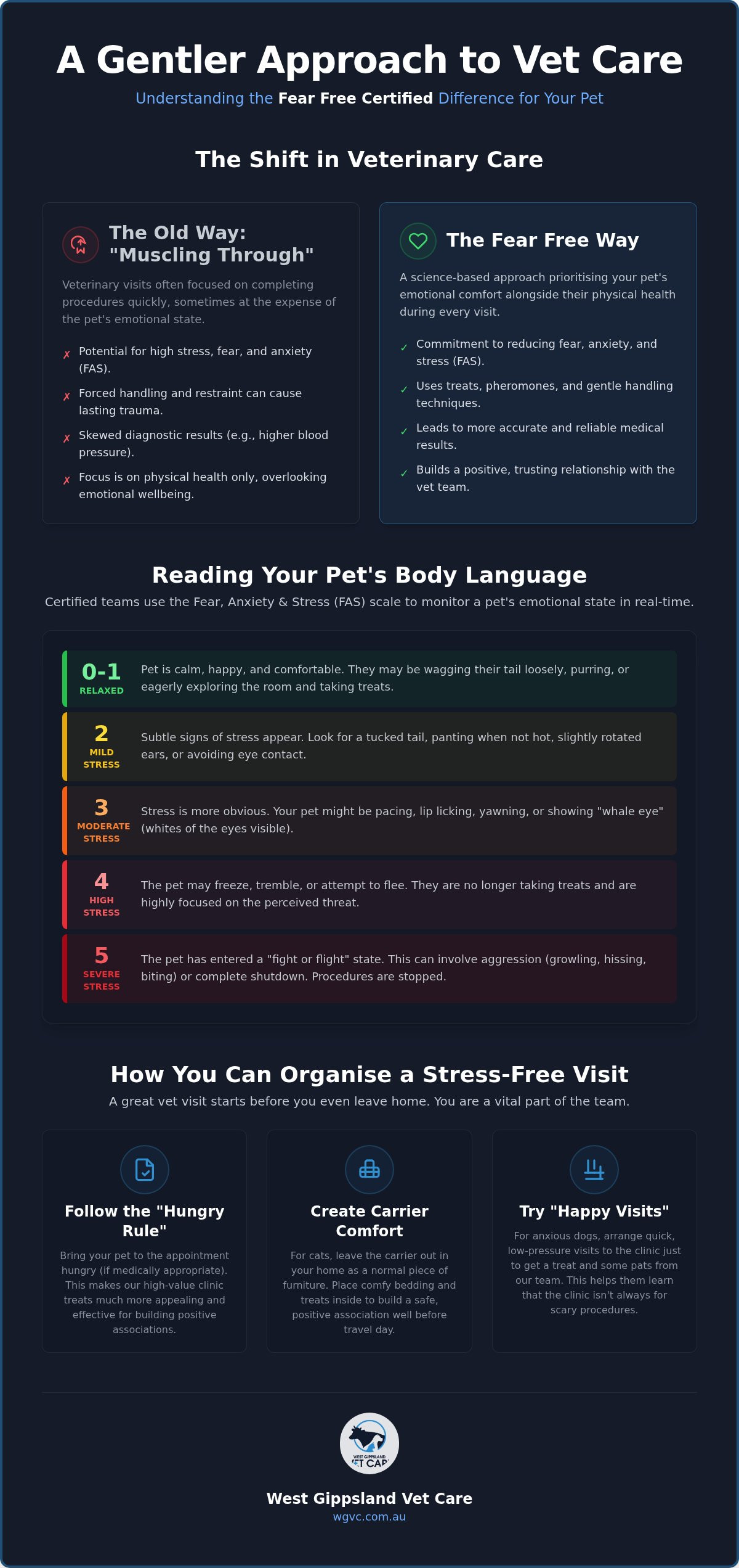 Fear Free Certified Vets: A Guide for Gippsland Pet Owners