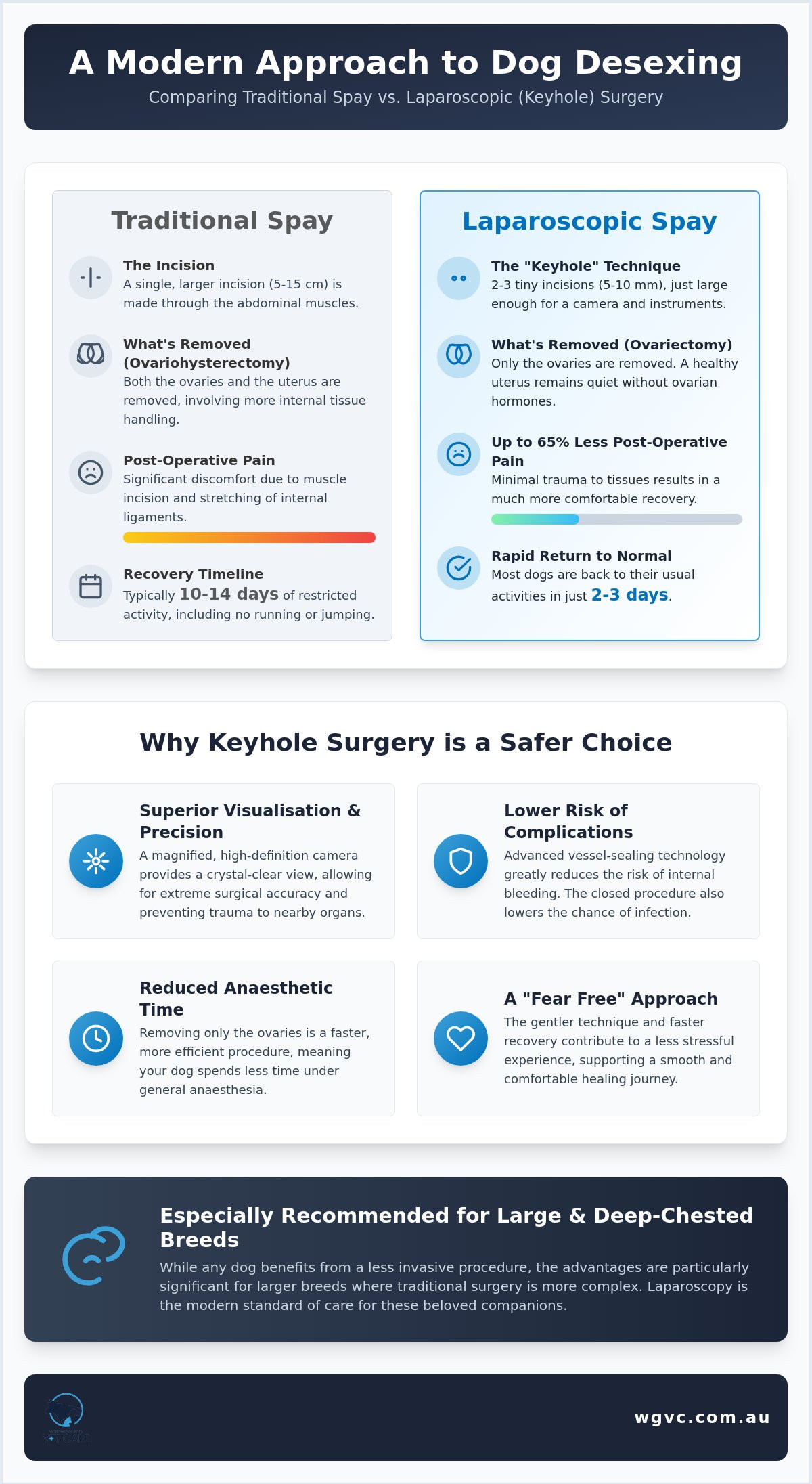 Is Laparoscopic Spay Safer for Dogs? A Guide for West Gippsland Pet Owners