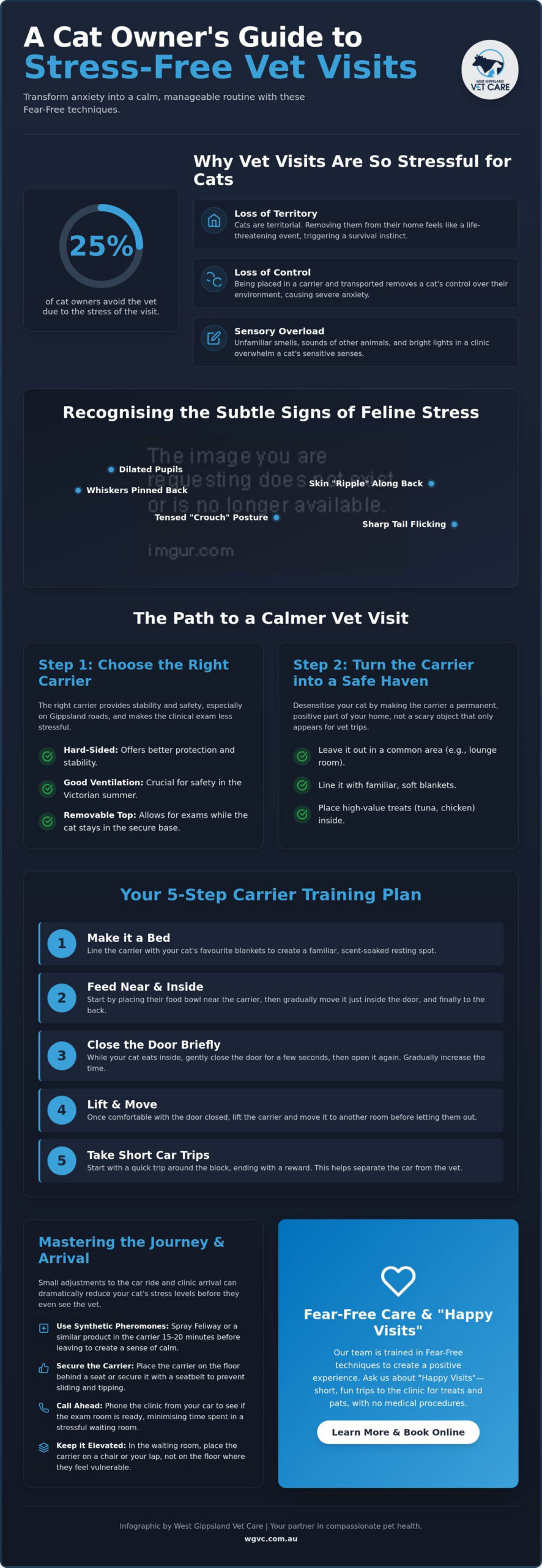 Preparing an Anxious Cat for a Vet Visit: A Fear-Free Guide