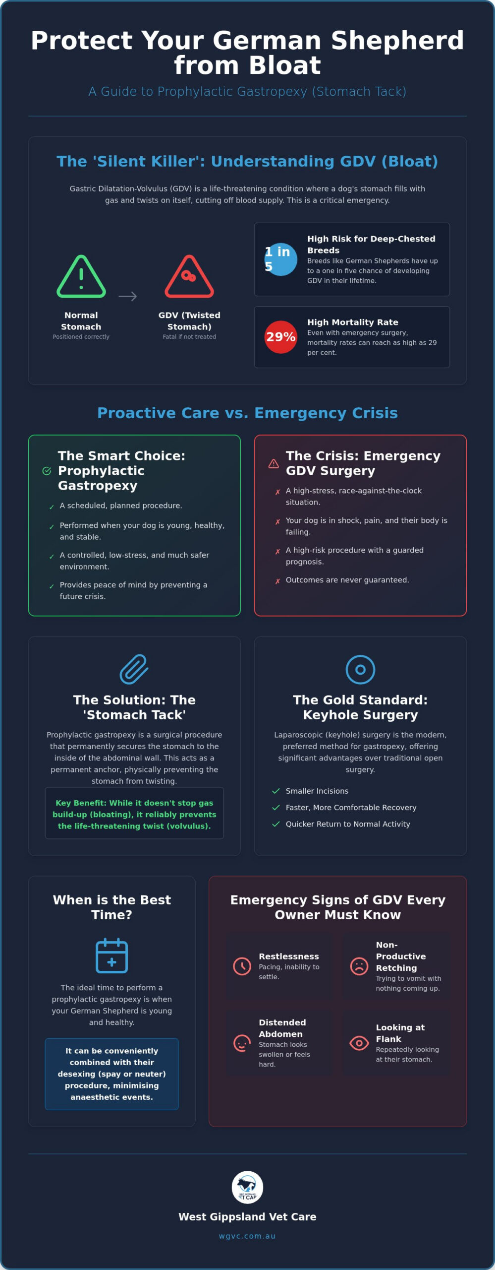 Prophylactic Gastropexy for German Shepherds in Drouin: Preventing the Silent Killer