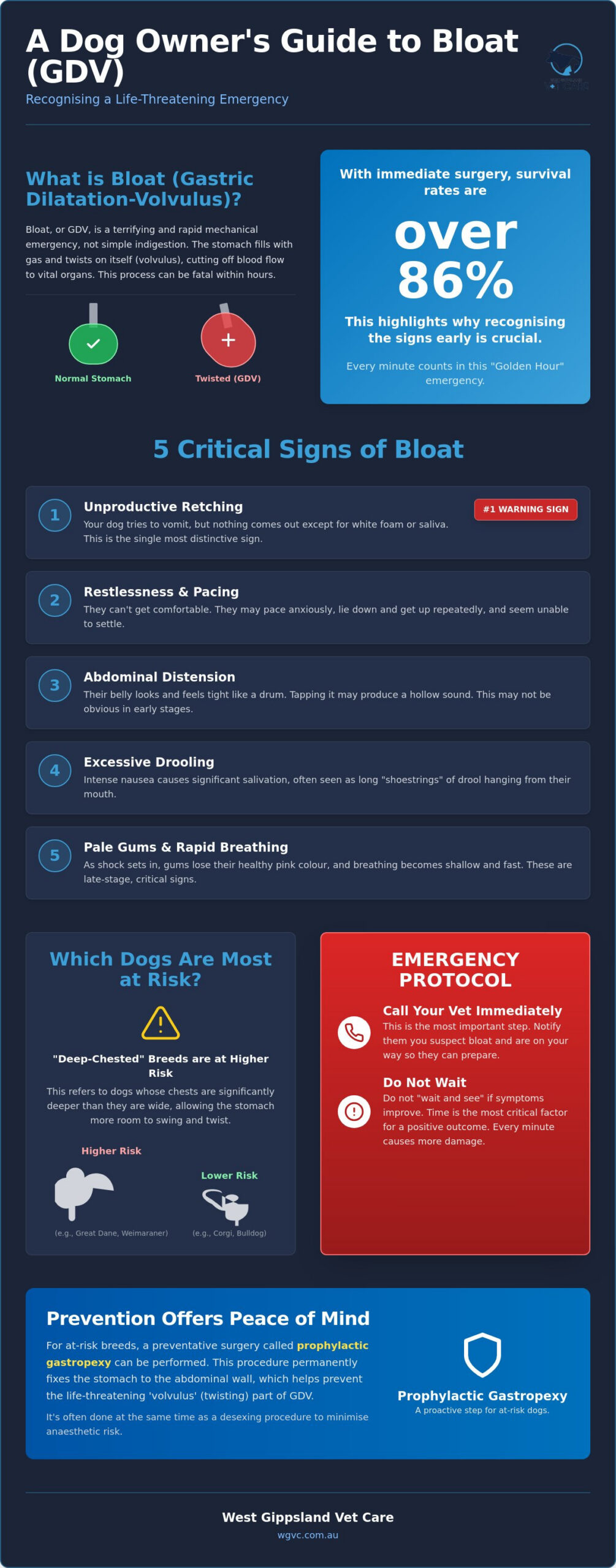 Signs of Bloat in Dogs Every Owner Should Know: A Life-Saving Guide