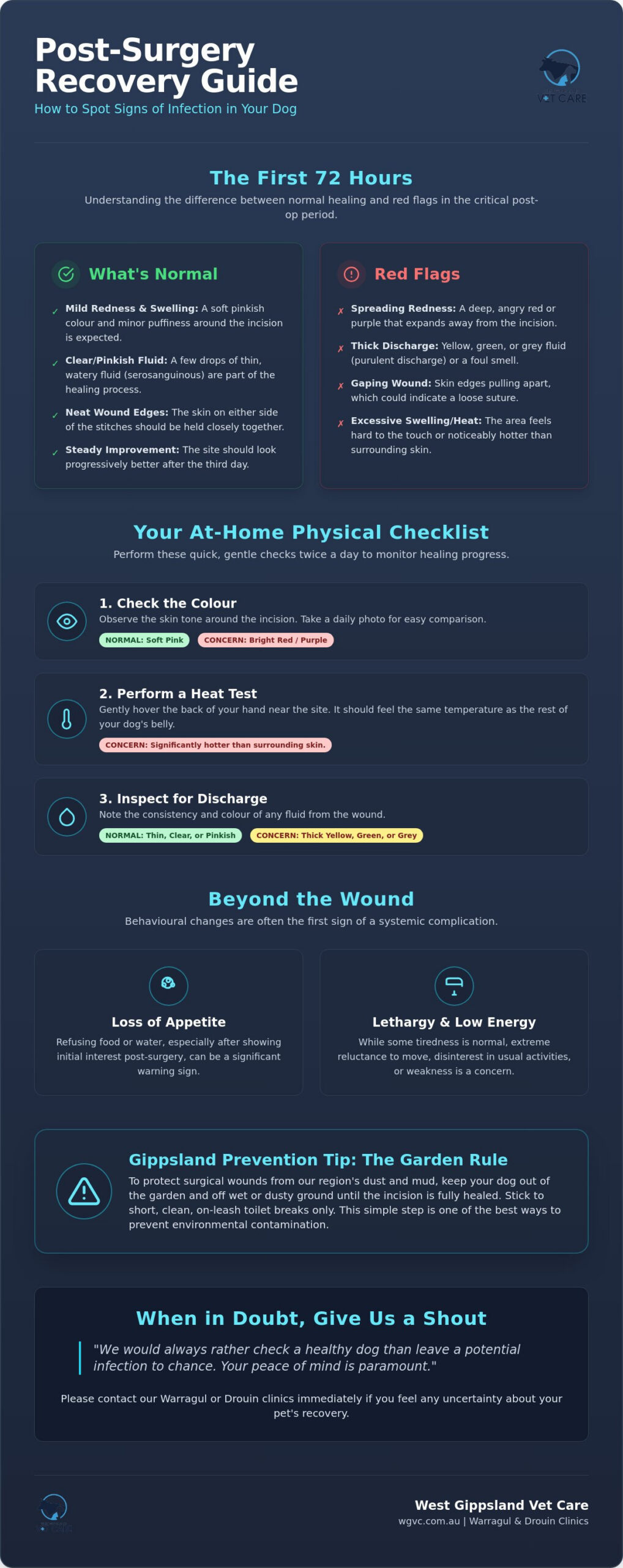 Signs of Infection After Dog Surgery: A Recovery Checklist for Gippsland Pet Owners