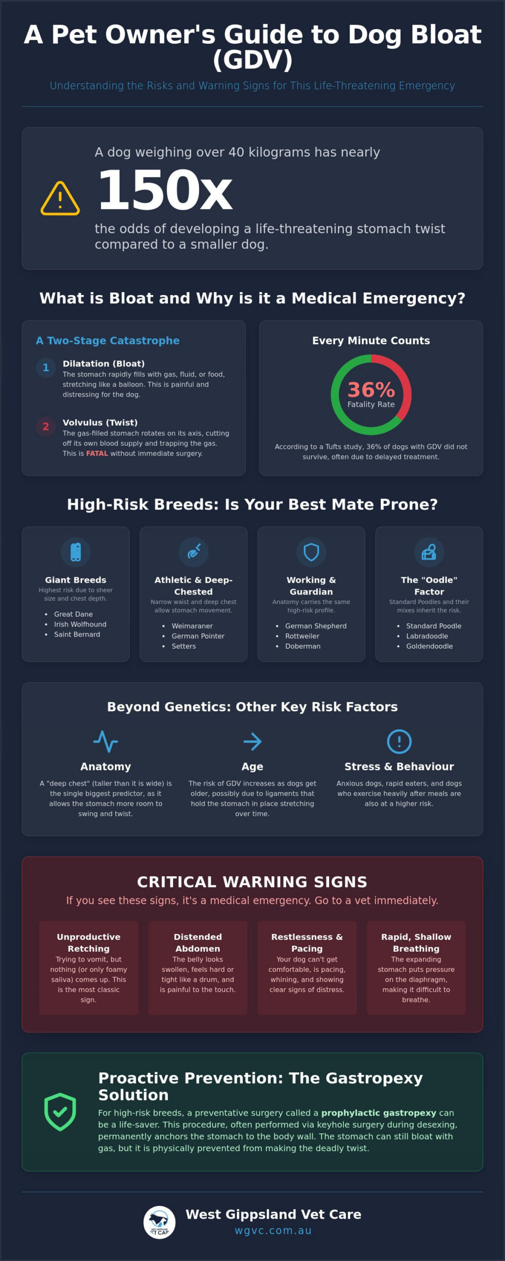 What Breeds Are at Risk for Bloat? A Guide for Gippsland Dog Owners