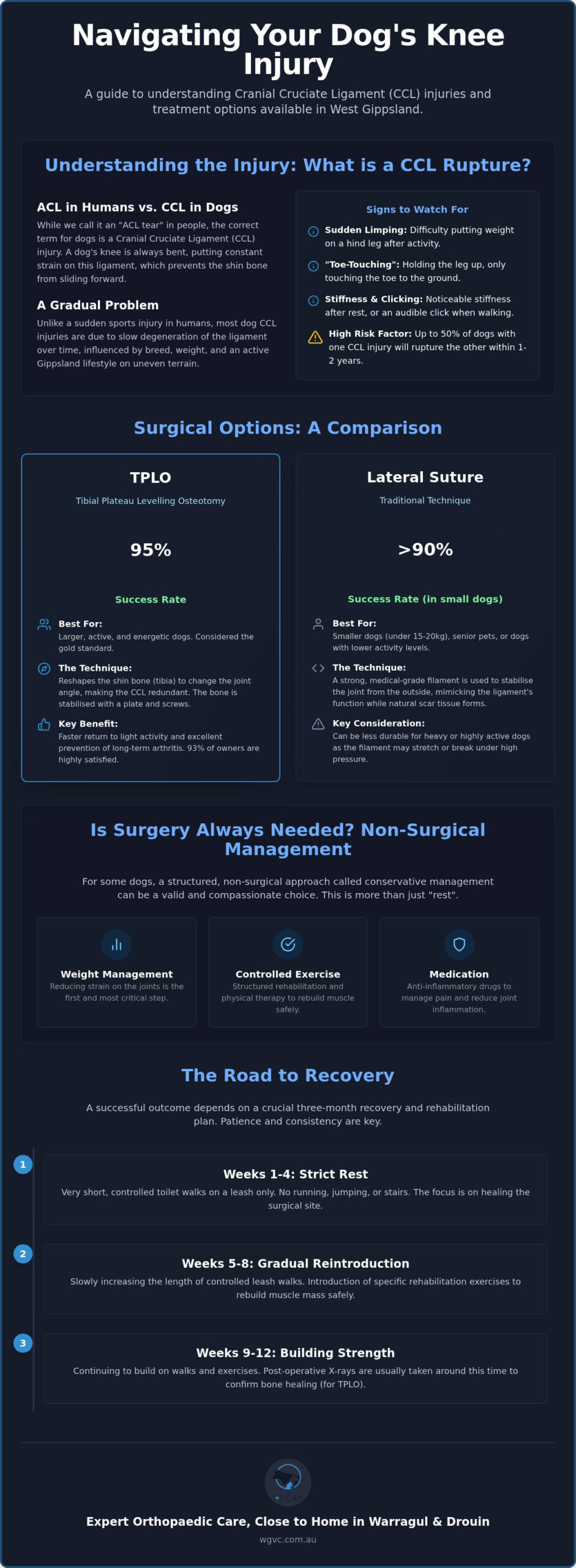 Dog ACL Surgery Options Gippsland: A Guide to Your Mate’s Recovery