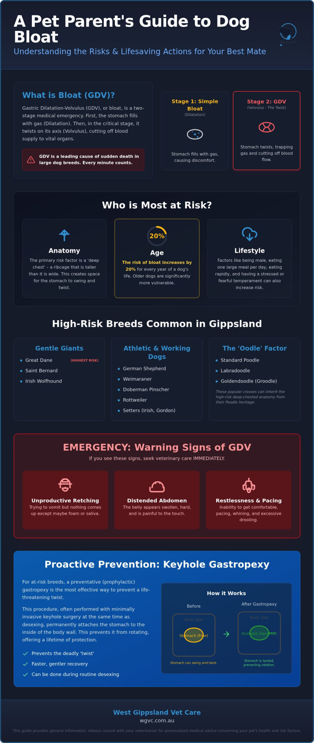What Breeds Are at Risk for Bloat? A Guide for Gippsland Dog Owners