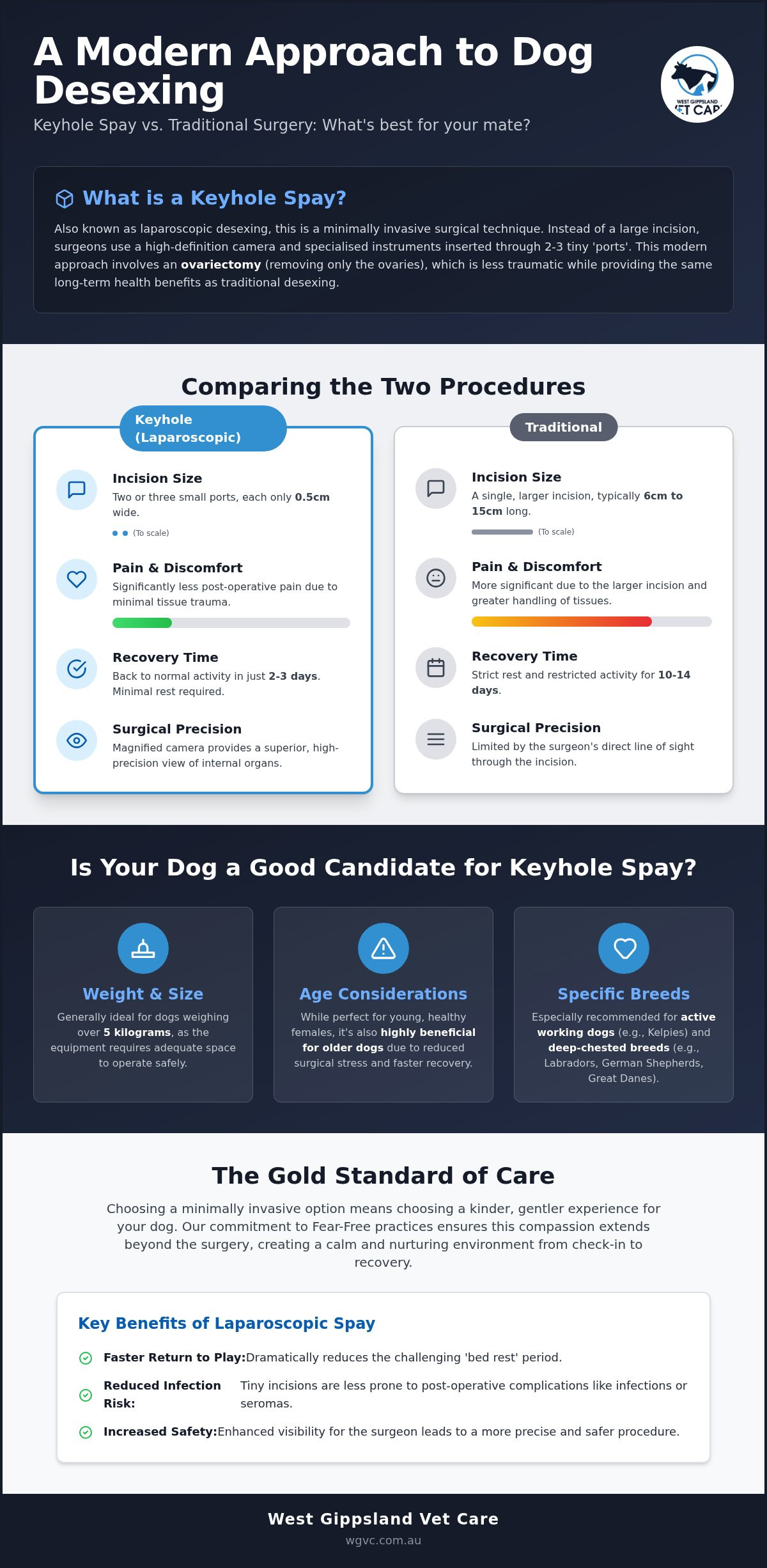 Keyhole Desexing: Is My Dog a Candidate? Gippsland Guide