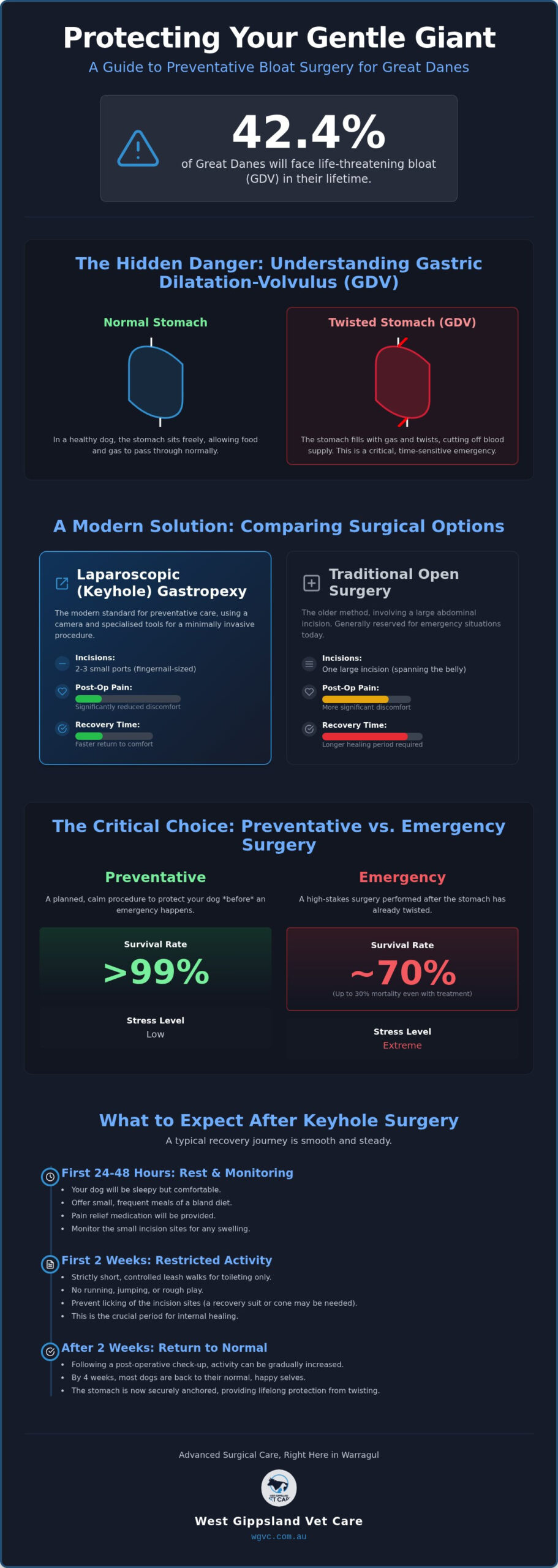 Preventative Gastropexy for Great Danes: What to Expect Before and After Surgery in Warragul