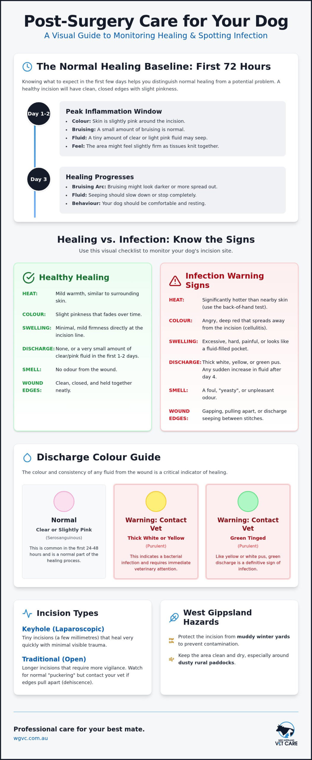 Signs of Infection After Dog Surgery: The Complete West Gippsland Owner’s Guide