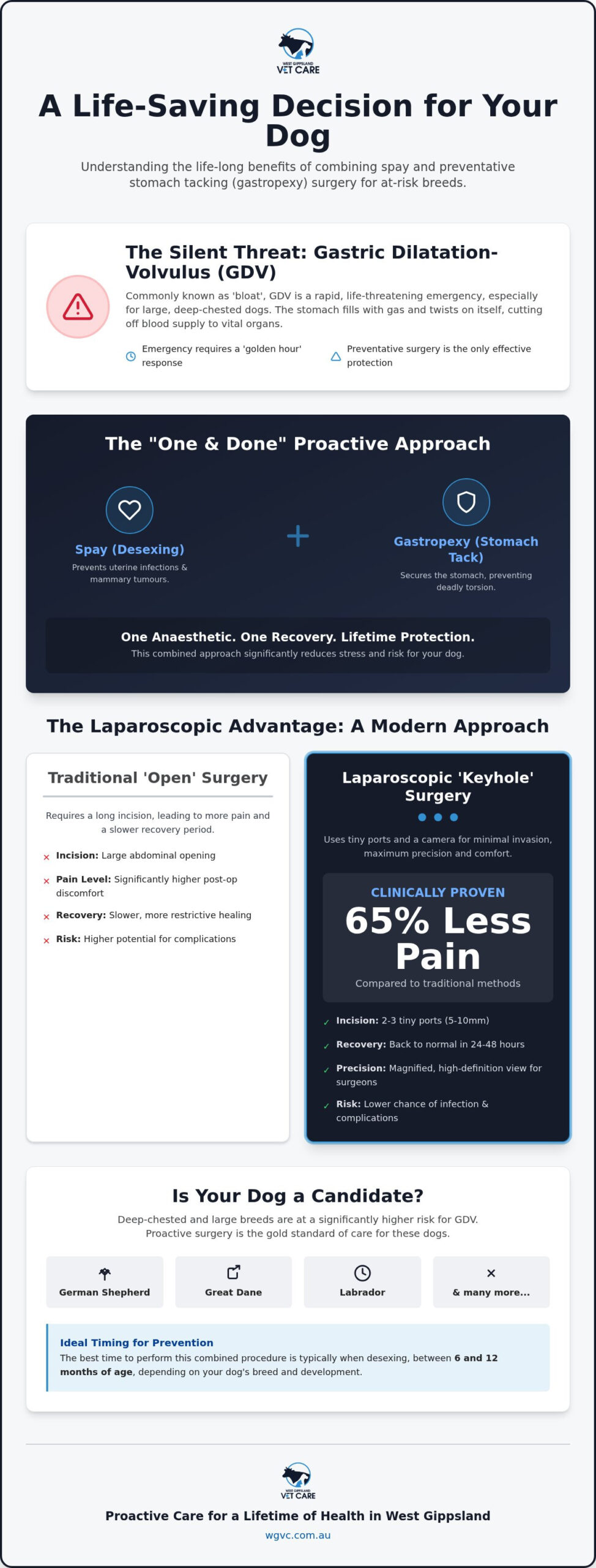 Benefits of Combining Spay and Gastropexy Surgery: The Gold Standard for Large Breeds