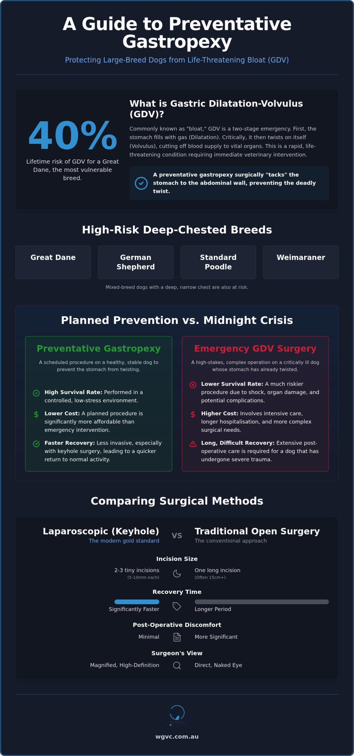 Cost of Preventative Gastropexy in Gippsland: A 2026 Guide for Dog Owners