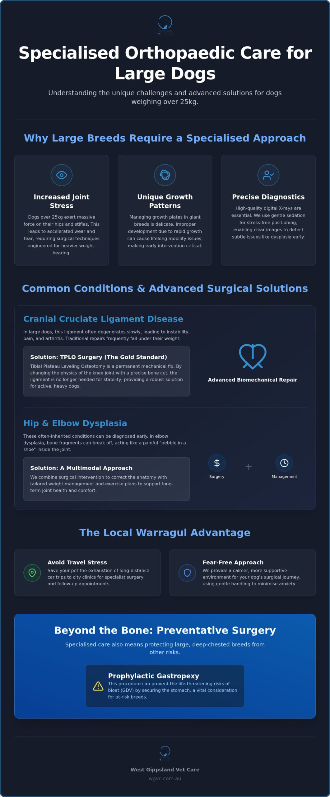 Large Breed Orthopaedic Vet Warragul: Care for Your Big Mate