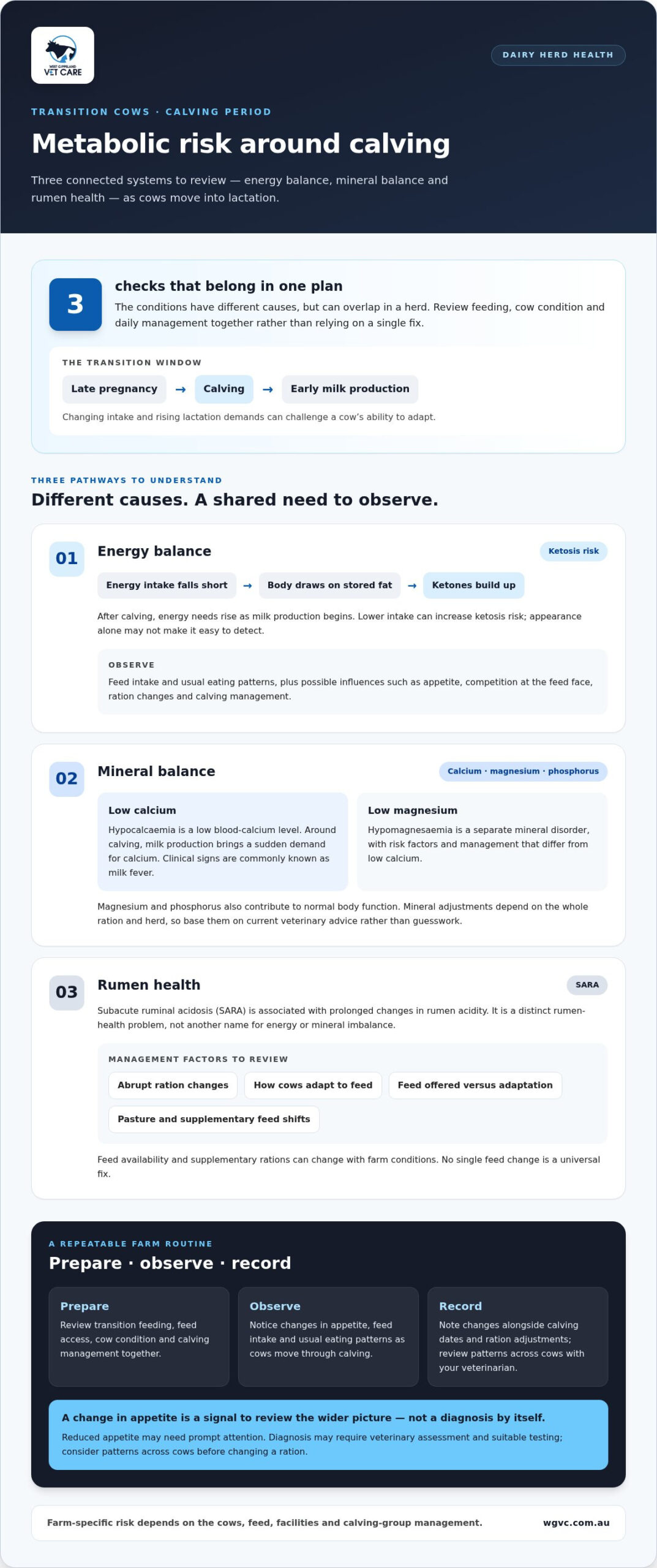 Preventing Metabolic Disease in Dairy Cows: A Practical Herd Guide