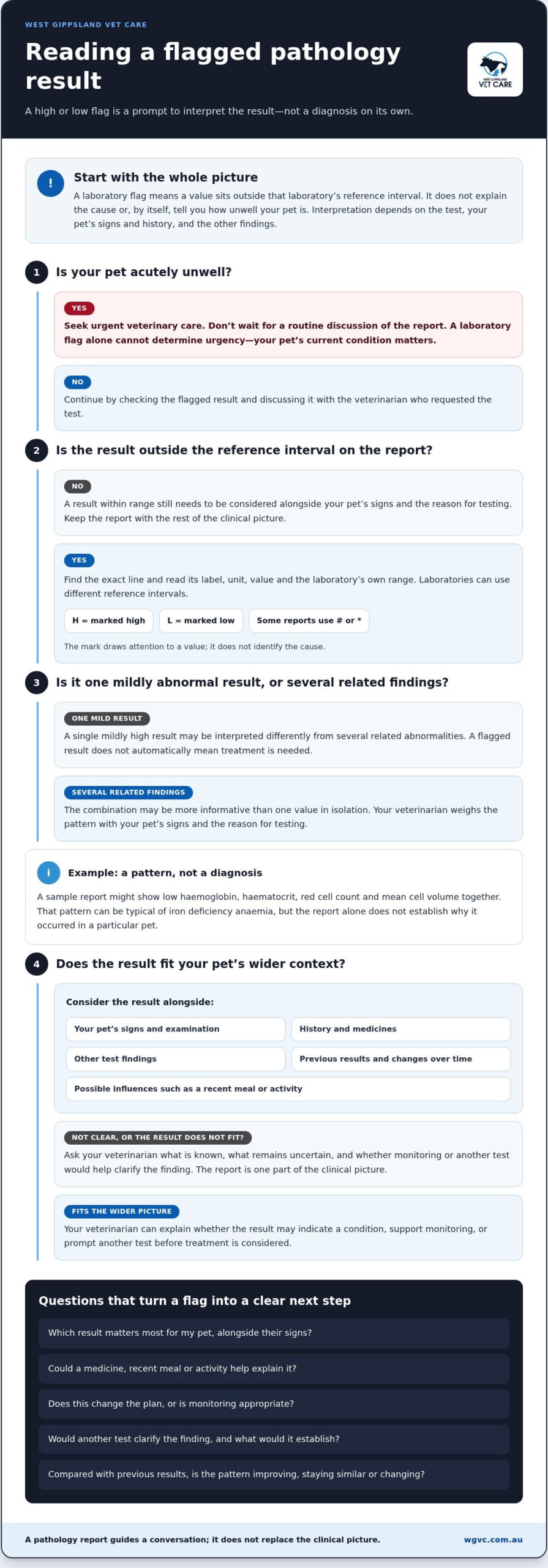 Understanding Vet Pathology Reports: How to Read High and Low Flags